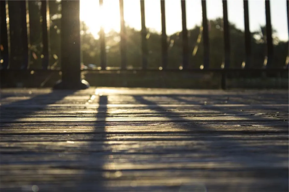 Low evening sun and long shadows across a deck